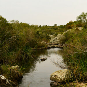Arroyo del Indio 2150
