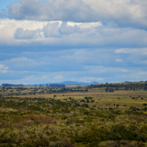 Cerro Minuano 22150