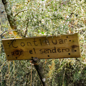 Cerro Minuano 23150