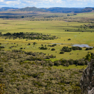 Cerro Minuano 71150